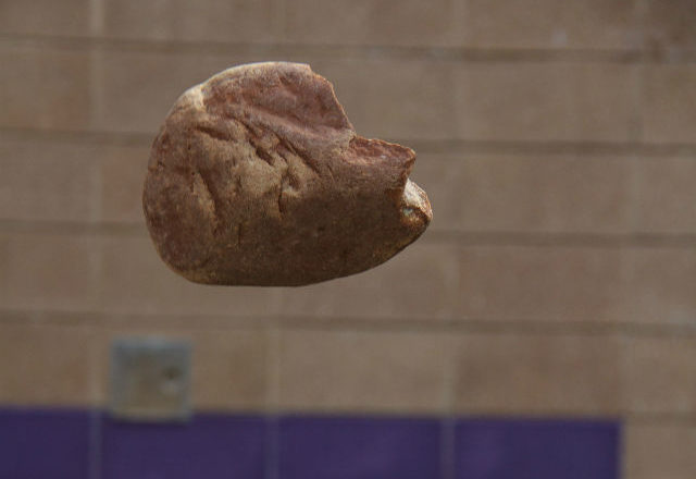 falling stone gravitation