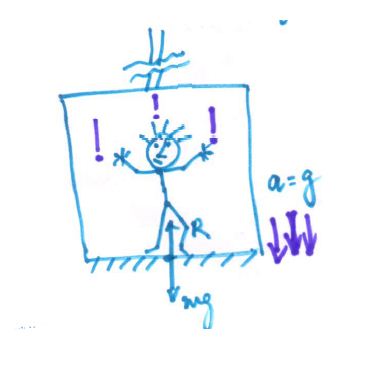 Elevator Problems In Physics - 5 Elevator Case Studies -Newton's Laws FBD