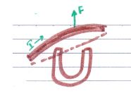 motor effect and generator effect