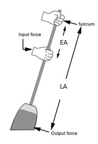 In the class III lever or third class lever, the effort is in between the fulcrum and load. 
 (mechanical advantage of a lever)