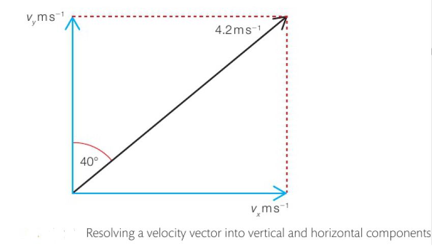 how-to-resolve-a-vector-structuretext