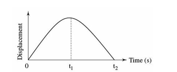 displacement time graph for vertical motion