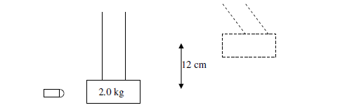 Numerical Problems on Collisions (Elastic & inelastic collision) - image for Question 1