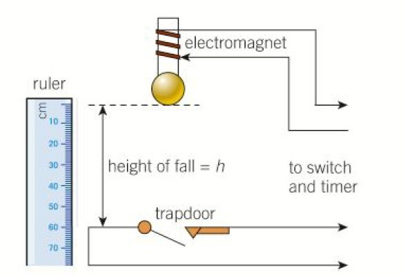 Determine the value of g with Electromagnet and trapdoor