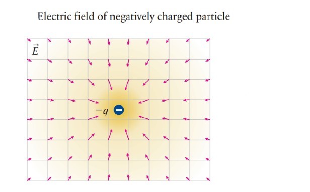 If the source charge is negative, the field is directed toward the source.