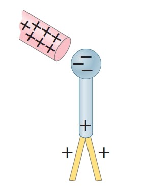 fig 2: detection of charge with electroscope - by induction