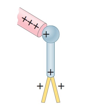 fig 3: detection of charge with electroscope - by conduction