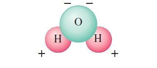 water molecule | Because it has opposite charges on different ends, it is called a “polar” molecule.