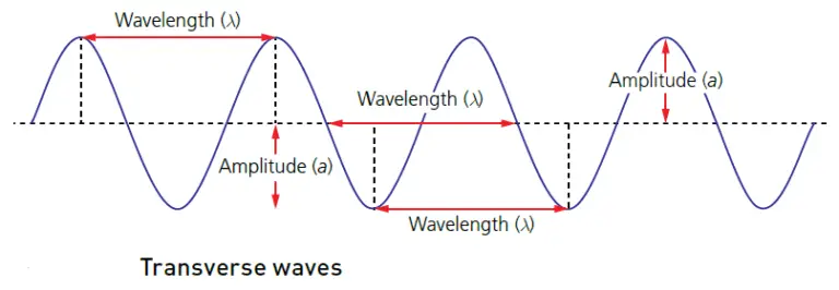 Progressive Waves - Longitudinal & Transverse waves