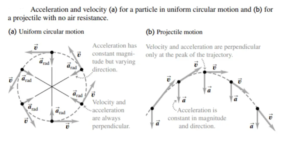 differences-between-uniform-circular-motion-projectile-motion-explained