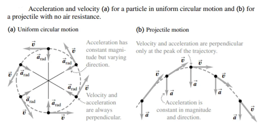 projectile motion equation