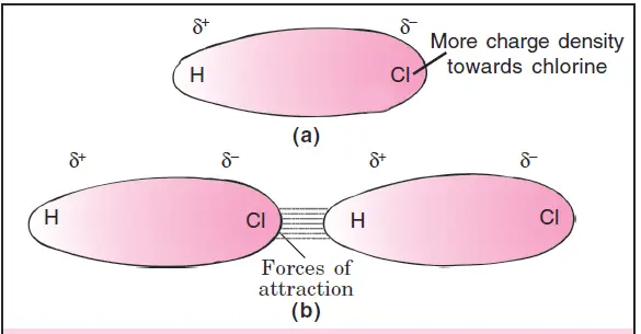 Fig. 2. (a) Distribution of electron cloud in polar HCl molecule. (b) Dipole-dipole interactions between two HCl molecules.