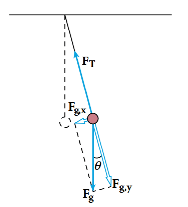 At any displacement from equilibrium, the weight of the bob (Fg) can be resolved into two components. The x component (Fg,x), which is perpendicular to the string, is the only force acting on the bob in the direction of its motion.