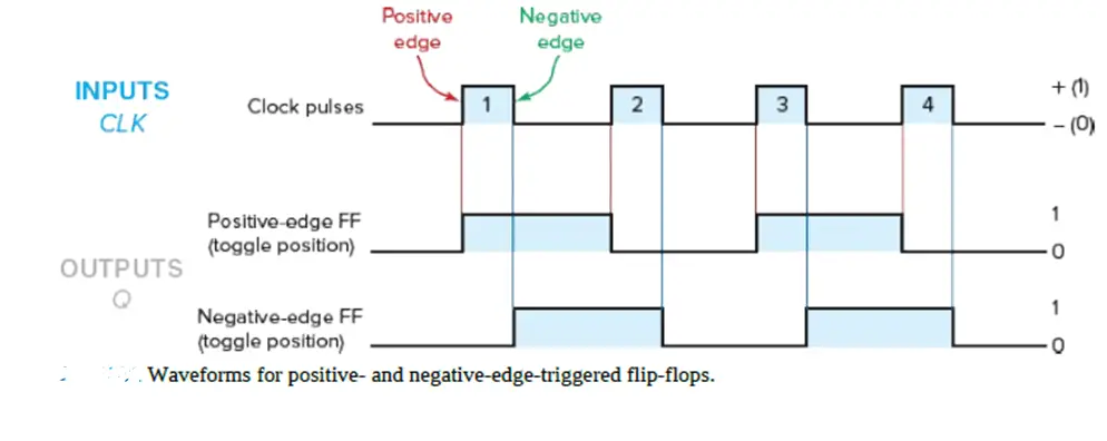 Figure 2: Waveforms for positive- and negative-edge-triggered D flip-flop in toggle position.