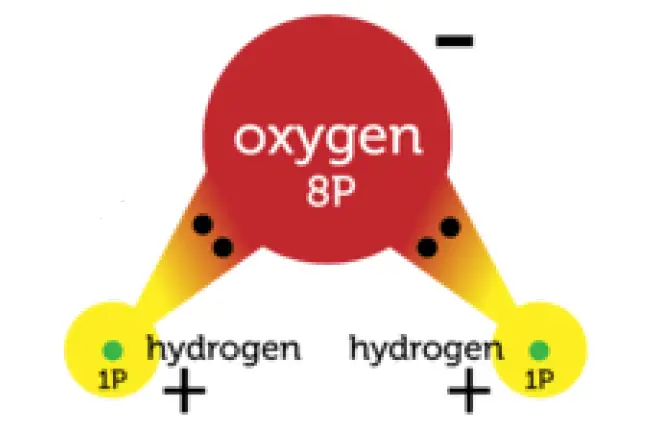 Figure 1: Polar Bonds in a water molecule