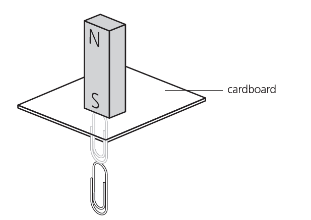 figure 1: The North pole and South pole of a magnet attract the paper clips equally - how? A chain of paper clips shows how strong the magnet is; here, the force passes through a piece of
cardboard.