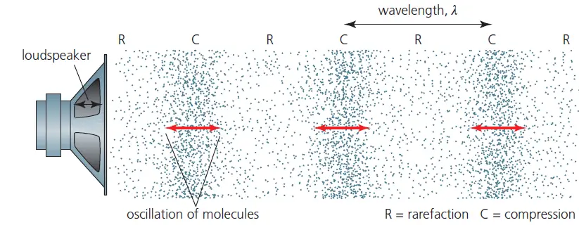 figure 1:  a sound wave travelling in the air away from the surface of a vibrating loudspeaker. A series of compressions and rarefactions are superimposed on the random motions of air molecules.  