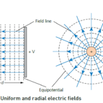 Electric field lines in uniform and radial electric fields