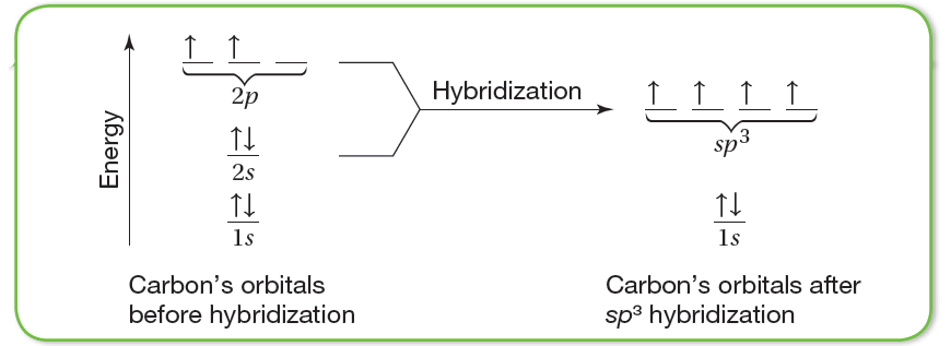 Carbon's orbitals before and after sp3 Hybridization