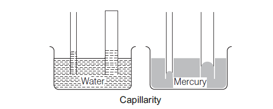 Capillarity