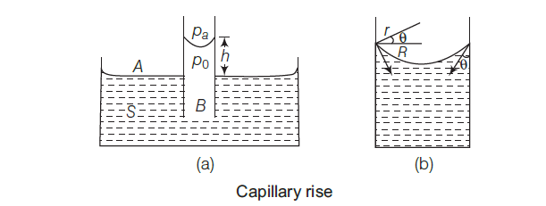 Capillary Rise