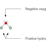 Structure of Water molecule - revision notes