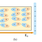Polarization of a Dielectric between parallel plates of a capacitor
