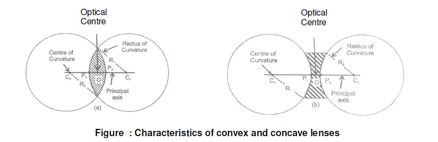 characteristics of convex and concave lenses, Spherical Lens - Important Terms for Class 10