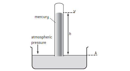 Figure 1: Mercury Barometer